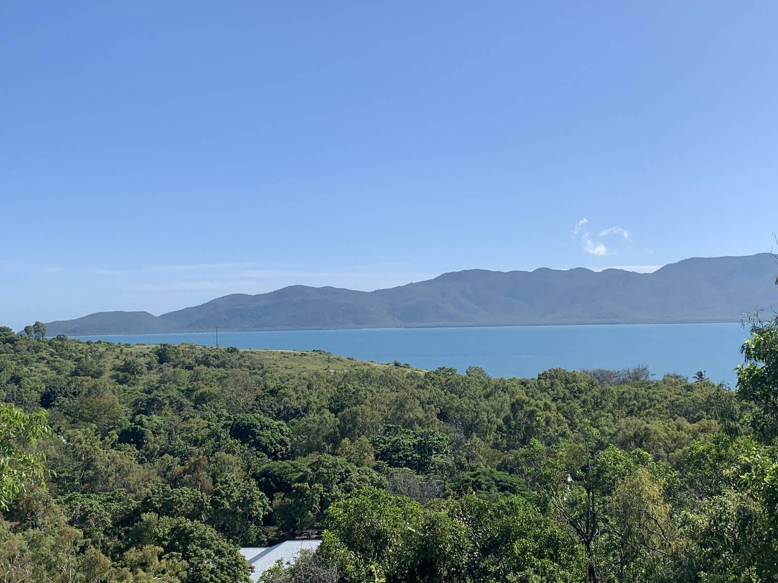 Bushland falling away to the sea and the island